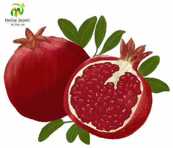 <p>ทับทิม (pomegranate)</p>
