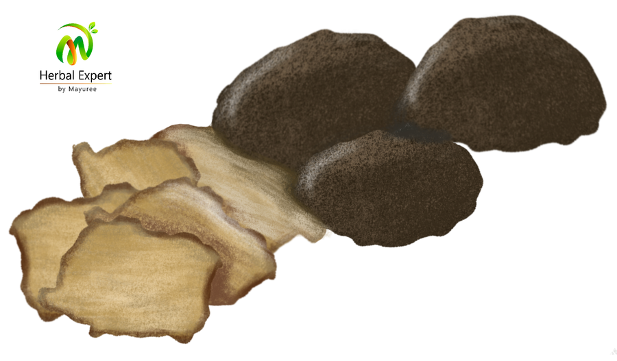<p>เห็ดทรัฟเฟิล (truffle)</p>

