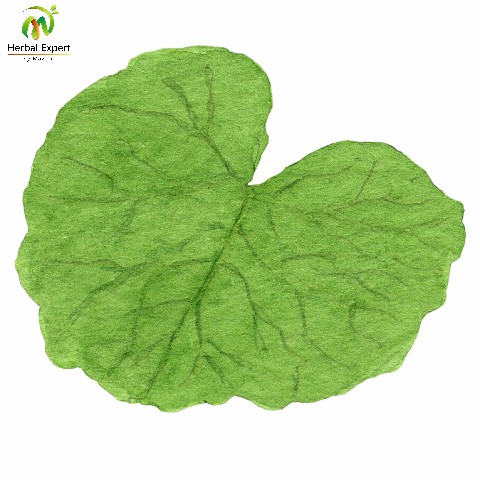 <p>บัวบก</p>
