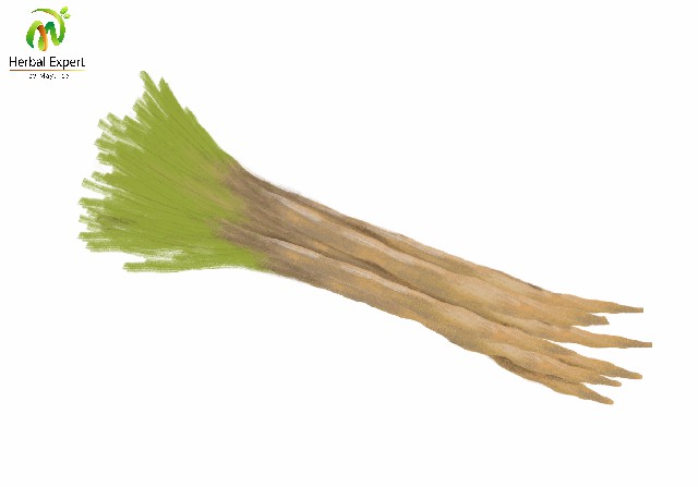 <p>ปลาไหลเผือก</p>
