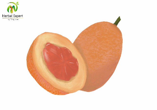 <p>ฟักข้าว</p>
