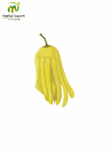 <p>ส้มโอมือ</p>
