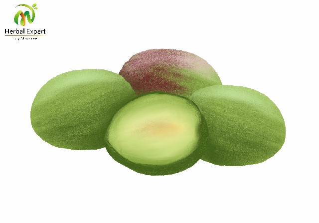 <p>สมอไทย</p>
