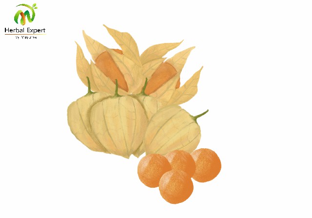 <p>โทงเทงเทศ (gooseberry)</p>

