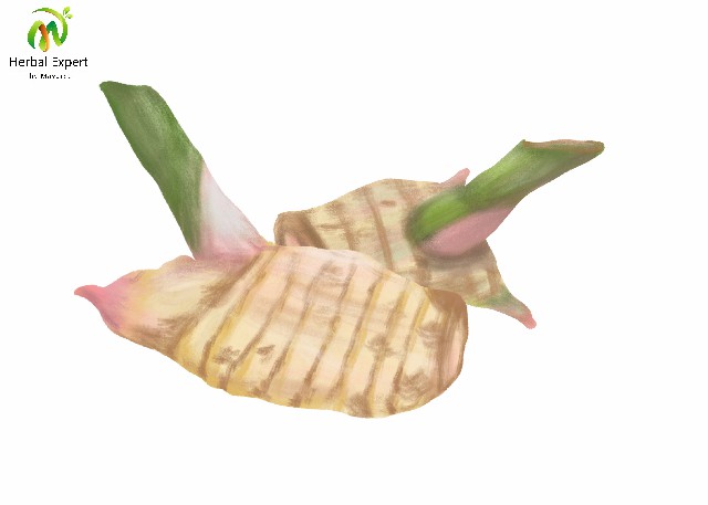 <p>ข่า</p>
