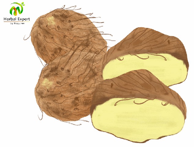 <p>กลอย</p>
