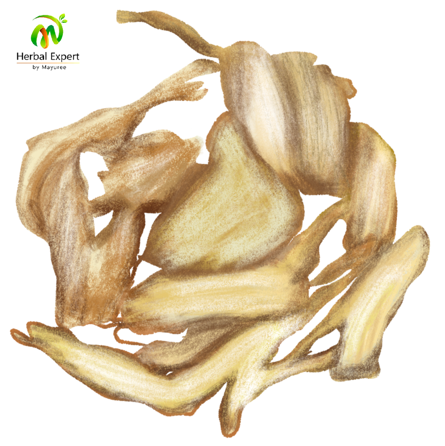 <p>ตังกุย (โกฐเชียง)</p>
