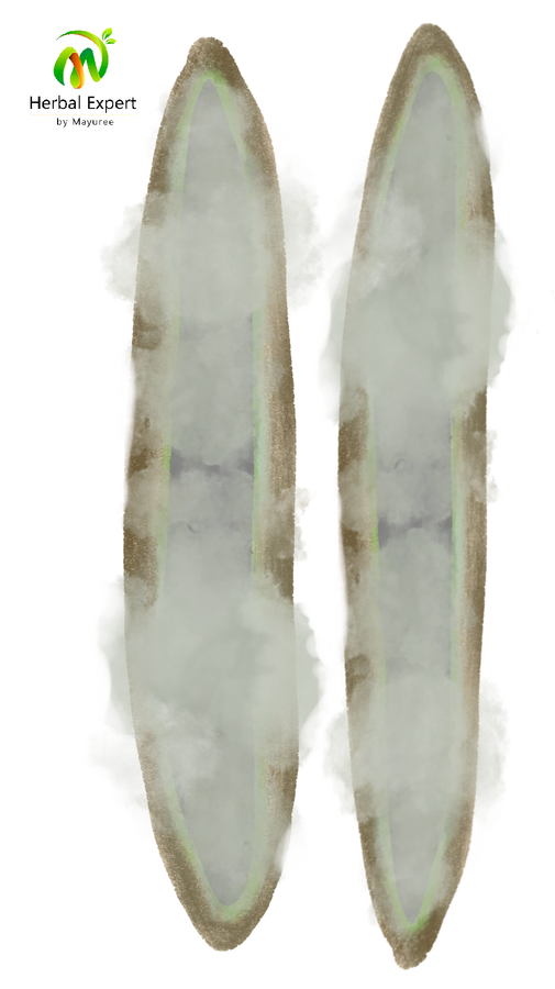 <p>เพกา (ลิ้นฟ้า)</p>
