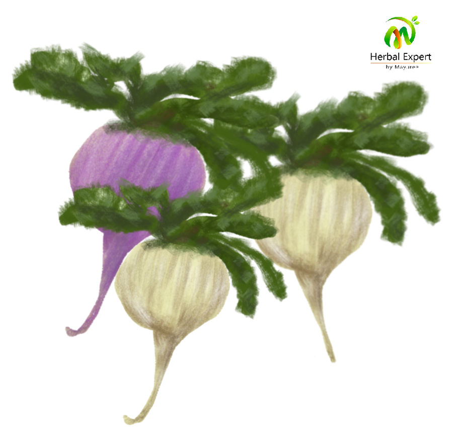 <p>โสมเปรู (maca)</p>
