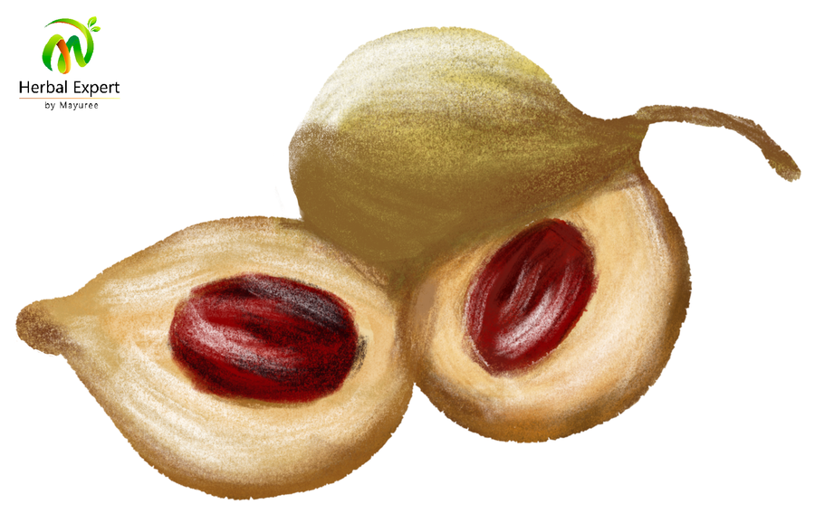 <p>จันทน์เทศ</p>
