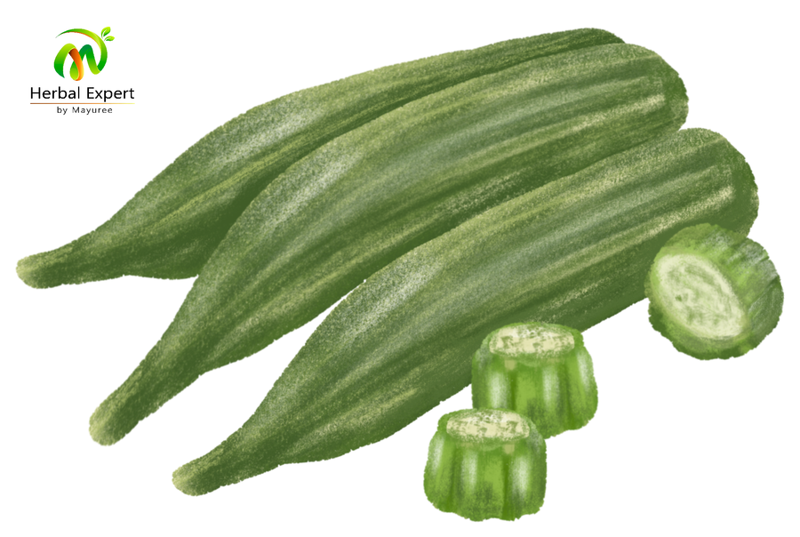 <p>กระเจี๊ยบเขียว (okra)</p>
