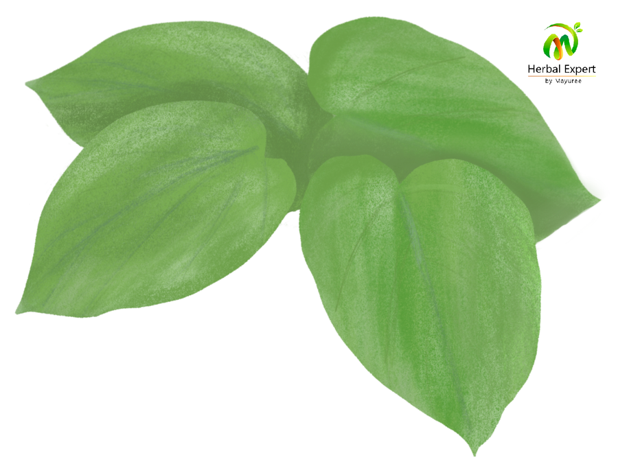 <p>คาวา คาวา (kava kava)</p>
