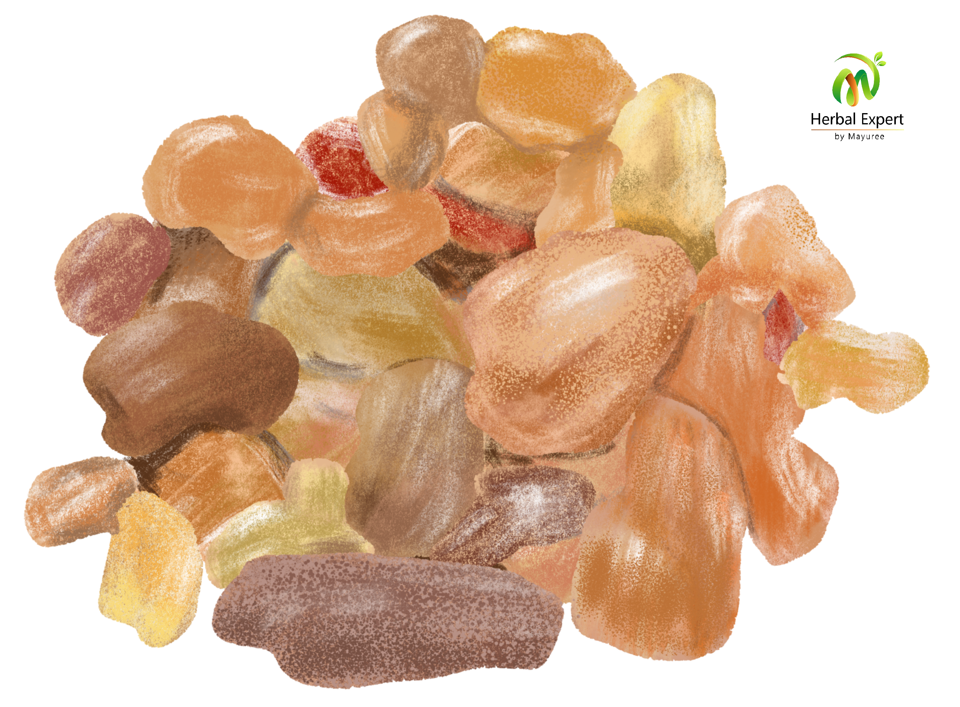 <p>มดยอบ (Myrrh)</p>
